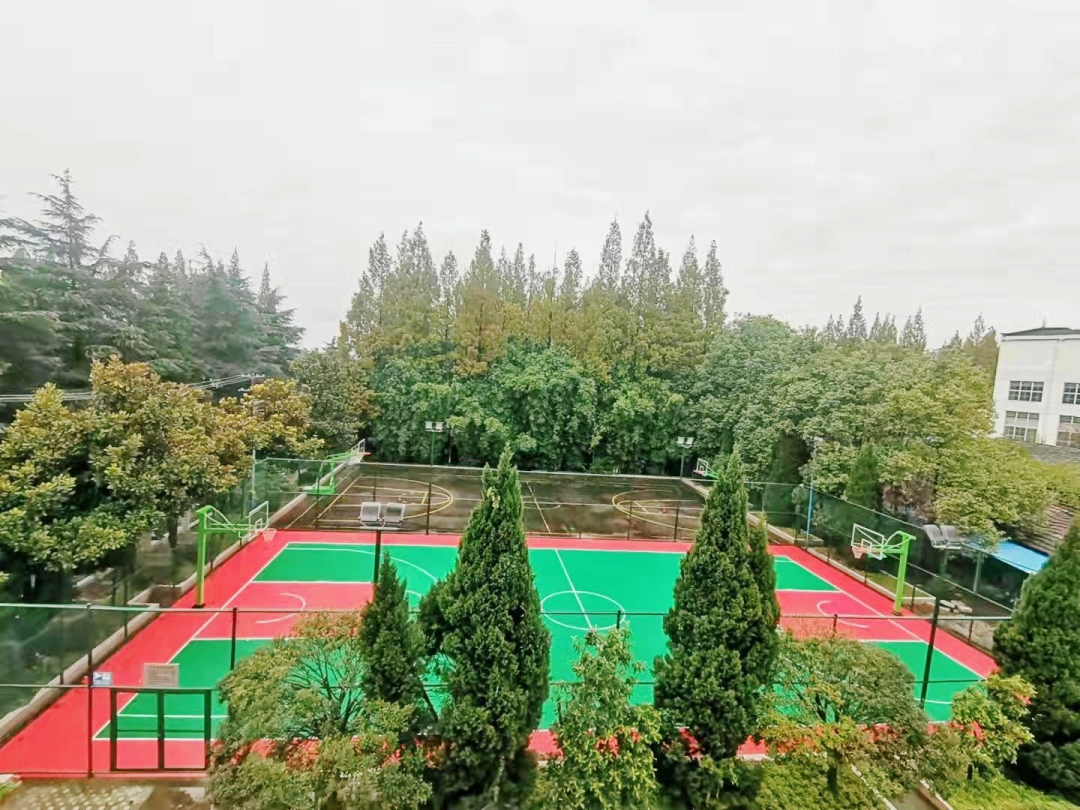 ���²㵳������������ѧʷ���а�ʵ�� ���ľ������¾�