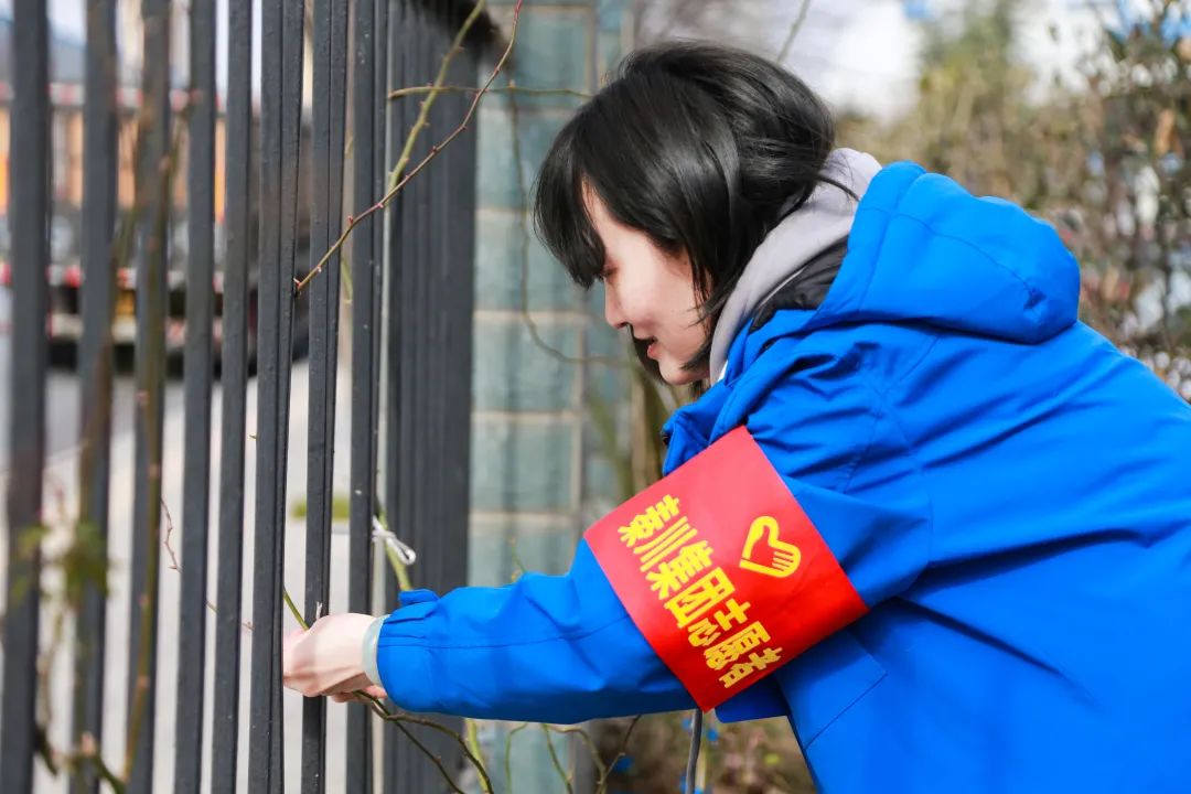 �ʼҹ���(�й���)-�ٷ���վ